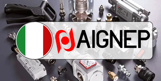 AIGNEP: Conectando la Industria con Innovación y Precisión