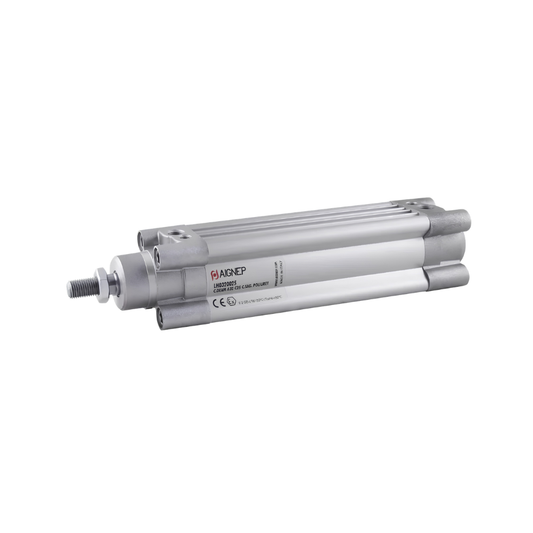 CILINDRO NEUMATICO DOBLE EFECTO, CARRERA 100 MM | AIGNEP
