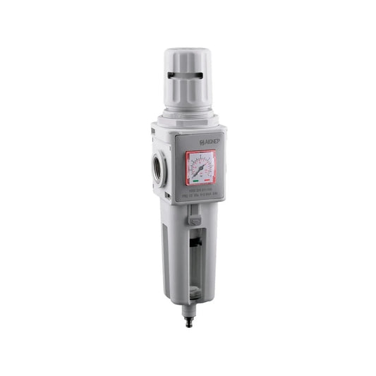 FILTRO REGULADOR DE 5 MICRONES - AIGNEP Y030